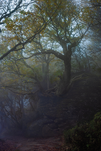 Blue Ridge Parkway