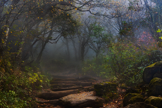 Blue Ridge Parkway