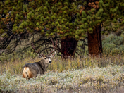 Rocky Mountain National Park