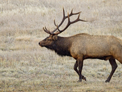 Rocky Mountain National Park