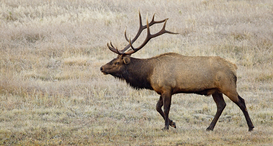 Rocky Mountain National Park
