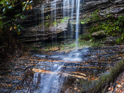 Pisgah National Forest