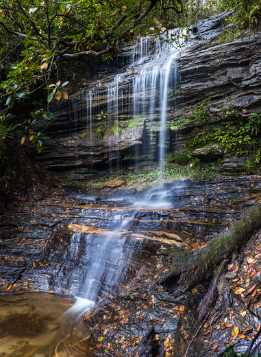 Pisgah National Forest