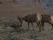 Badlands National Park