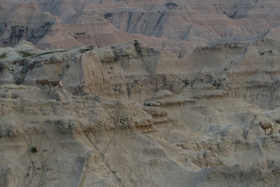 Badlands National Park