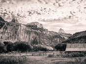 Capitol Reef National Park
