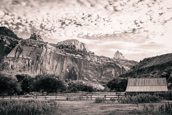 Capitol Reef National Park