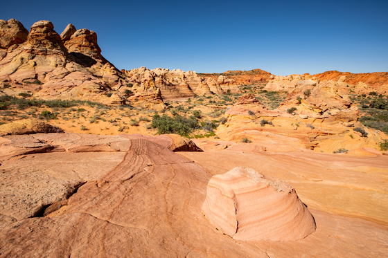 South Coyote Buttes