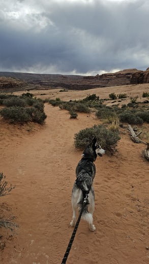 Corona Arch Trail