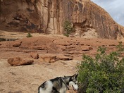 Corona Arch Trail (BLM National Recreation Trail)