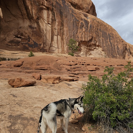Corona Arch Trail (BLM National Recreation Trail)