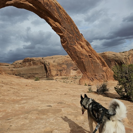 Corona Arch Trail (BLM National Recreation Trail)