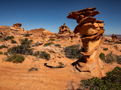 South Coyote Buttes