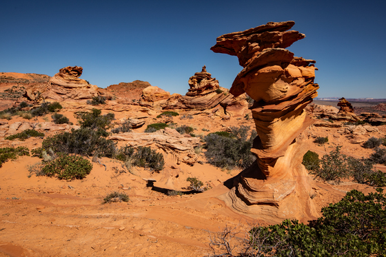 South Coyote Buttes