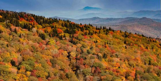 Blue Ridge Parkway