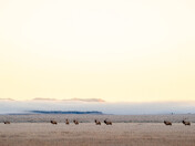 Grand Teton National Park 