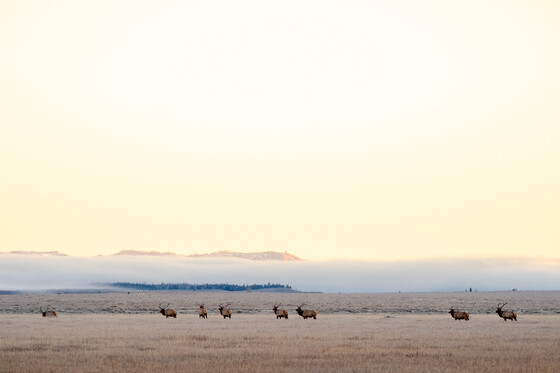 Grand Teton National Park 