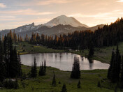 Mount Rainier National Park