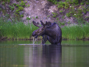 Glacier National Park