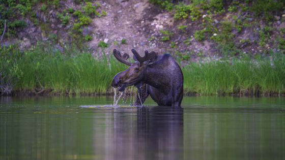 Glacier National Park