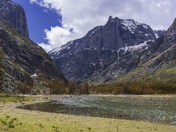 Custer National Forest