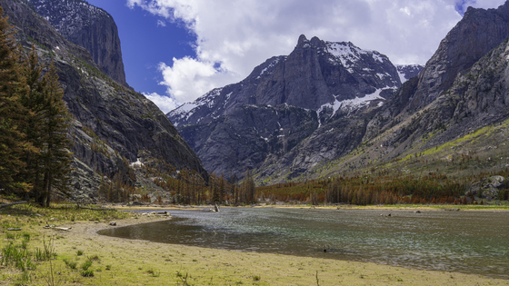 Custer National Forest
