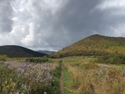 Pisgah National Forest