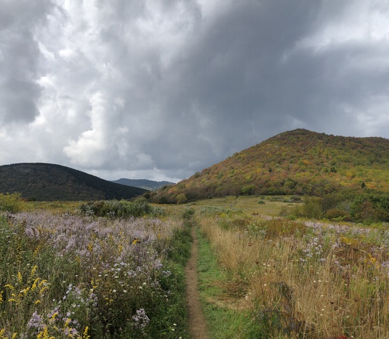 Pisgah National Forest