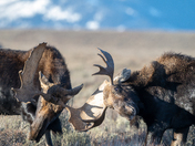 Grand Teton National Park