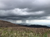 Pisgah National Forest