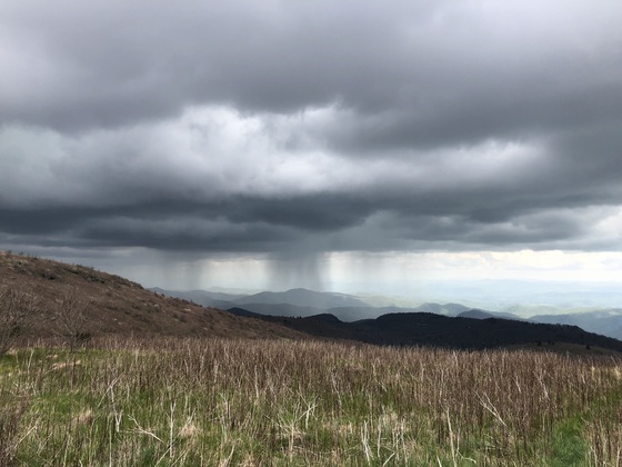 Pisgah National Forest