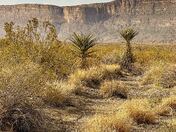 Big Bend National Park
