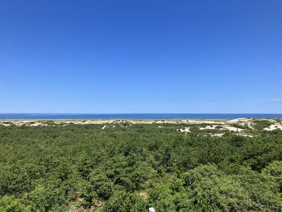 Cape Cod National Seashore