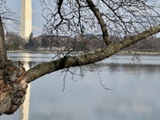 National Mall and Memorial Parks