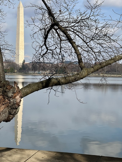 National Mall and Memorial Parks