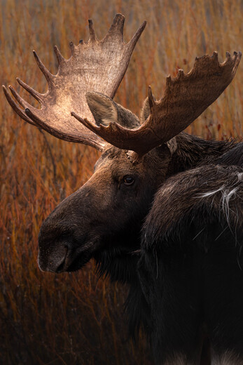 Grand Teton National Park