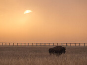 Grand Teton National Park
