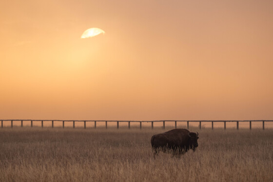 Grand Teton National Park