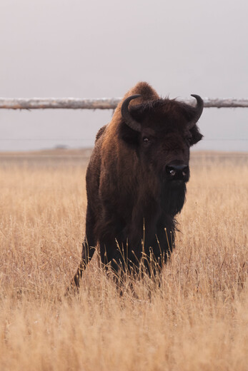 Grand Teton National Park