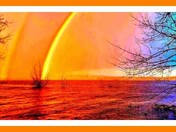 Transformation, 2022