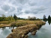 Lewis and Clark National Historical Park