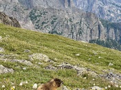 Rocky Mountain National Park