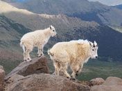 Mount Evans Wilderness