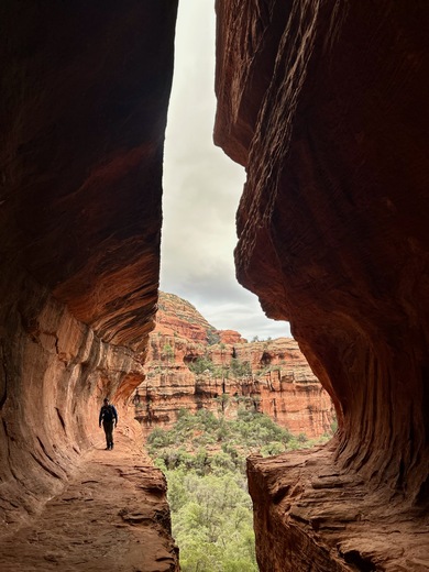 Coconino National Forest