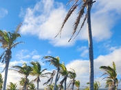 Hawaiʻi Volcanoes National Park