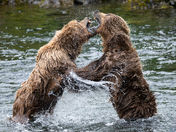 Kodiak National Wildlife Refuge