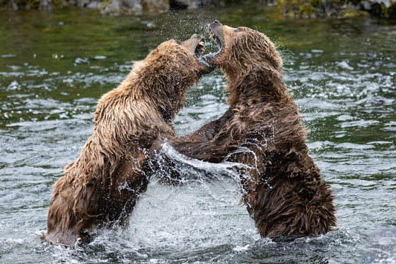 Kodiak National Wildlife Refuge