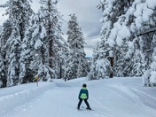 Stanislaus National Forest