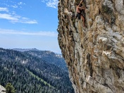 Sequoia National Forest