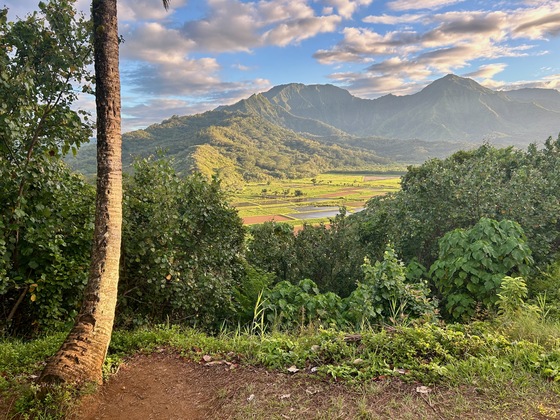  Hanalei National Wildlife Refuge